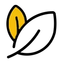 ic